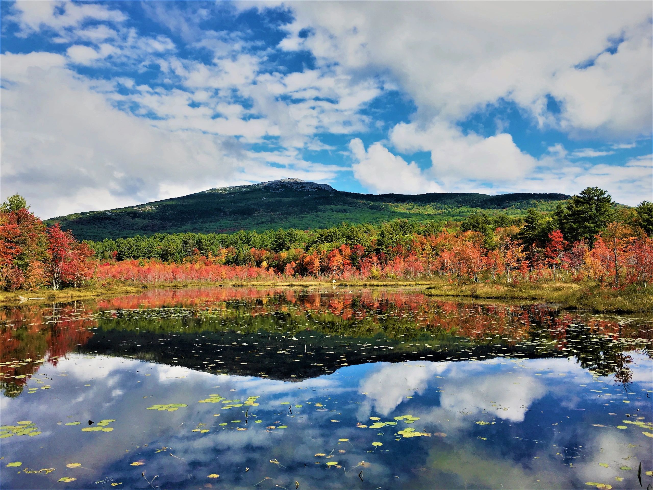 Lowe Health Benefits